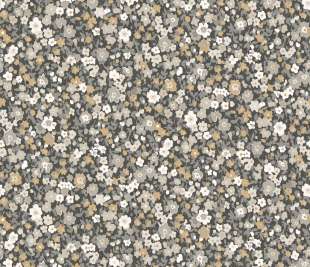 CASADECO_89219509_web