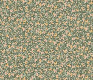 CASADECO_89227417_web