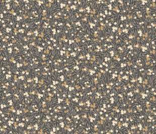 CASADECO_89229525_web