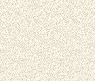 CASADECO_89231111_web