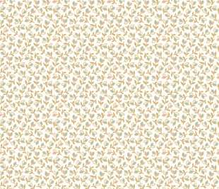 CASADECO_89251323_web