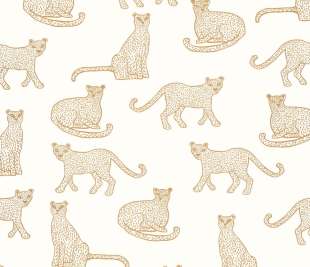 CASELIO_104390239_1_web