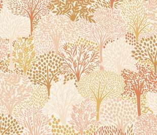 CASELIO_104400463_web