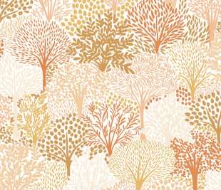 CASELIO_104400463_1_web