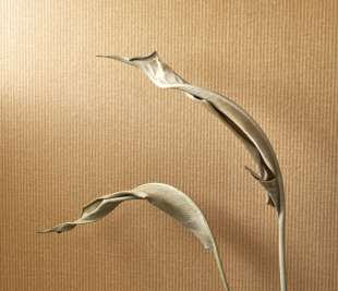 CASADECO_PAPC_PAPERCRAFT-Papier-kraft-Caramel-B_ZOOM_89652424_web