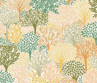 CASELIO_104400729_web