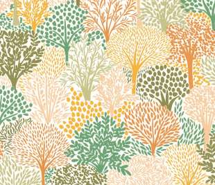 CASELIO_104400729_1_web