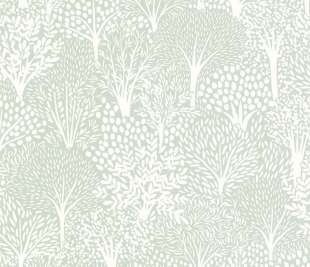 CASELIO_104407053_1_web