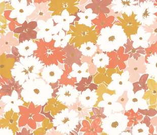 CASELIO_104414418_1_web