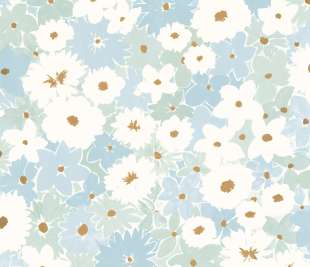 CASELIO_104416659_1_web