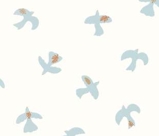 CASELIO_104500678_1_web