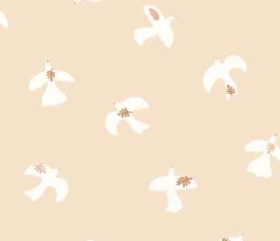 CASELIO_104504015_1_web