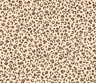 CASELIO_104451216_1_web