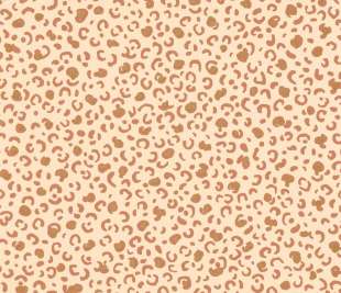 CASELIO_104454441_1_web