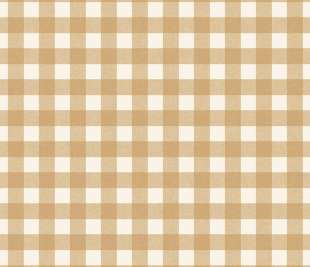 CASELIO_104420231_web