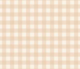 CASELIO_104420472_web