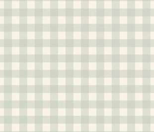 CASELIO_104420764_web