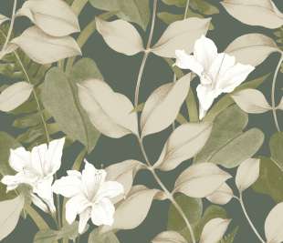 CASADECO_200267808_web