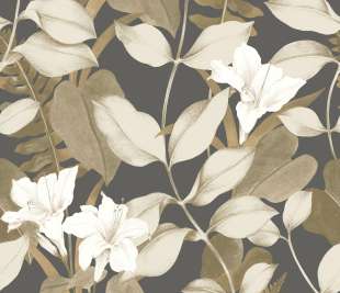 CASADECO_200269519_web