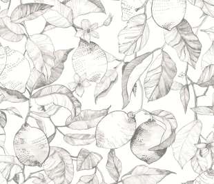 CASADECO_200270900_web