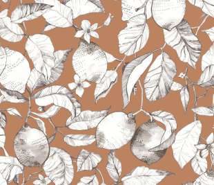 CASADECO_200273404_web