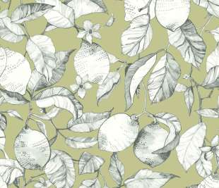 CASADECO_200277313_web