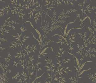 CASADECO_200289717_web