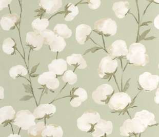 CASADECO_200297202_1_web