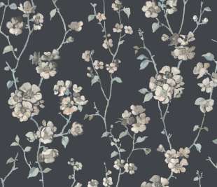 CASADECO_200329505_web