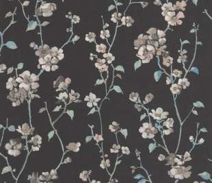 CASADECO_200329505_1_web