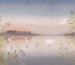 CASADECO_200034307_1_web