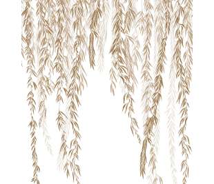 CASADECO_200152705_1_web