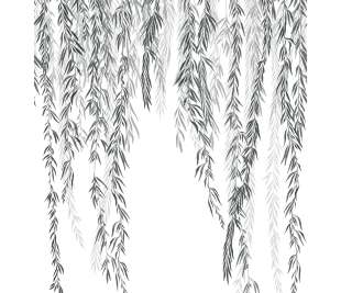 CASADECO_200159405_1_web