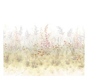 CASADECO_200107408_web