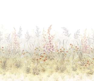 CASADECO_200107408_1_web