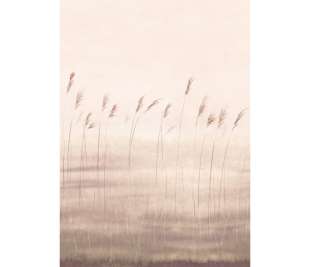 CASADECO_200081503_web