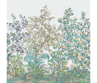 CASADECO_200117909.1_web