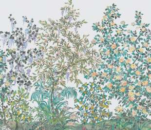 CASADECO_200117909_1_web