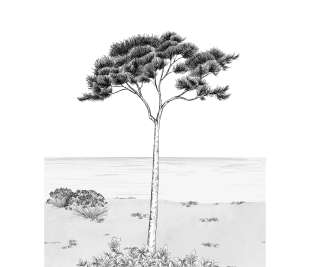 CASADECO_200029103_1_web