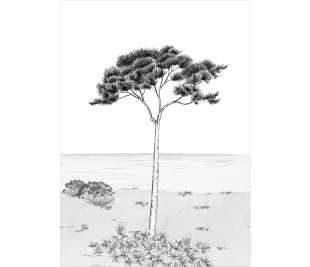 CASADECO_200029103_web