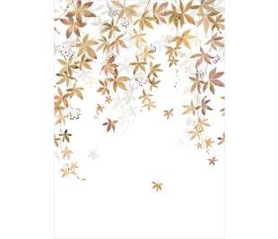 CASADECO_200062303_web