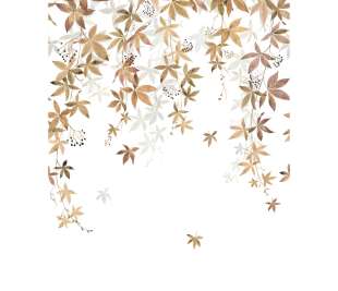 CASADECO_200062303_1_web