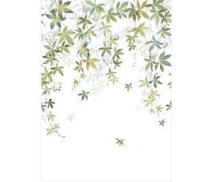 CASADECO_200067203_web