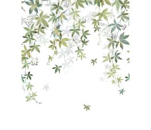 CASADECO_200067203_1_web