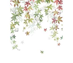 CASADECO_200067903_1_web