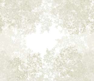 CASADECO_200137207_1_web