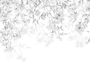 CASADECO_200199408_1_web