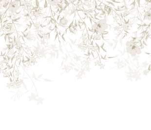 CASADECO_200191308_1_web