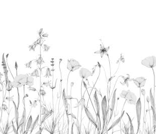 CASADECO_200169112_1_web