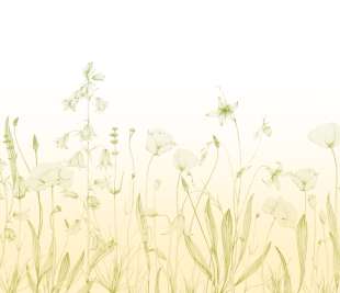 CASADECO_200167312_1_web